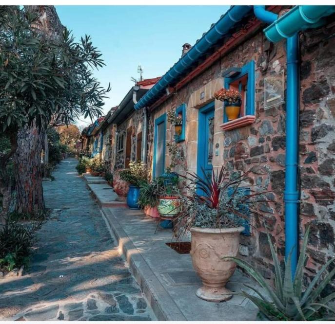 Appartement Idéal pour Stage ou Formation à Amélie-les-Bains-Palalda Extérieur photo
